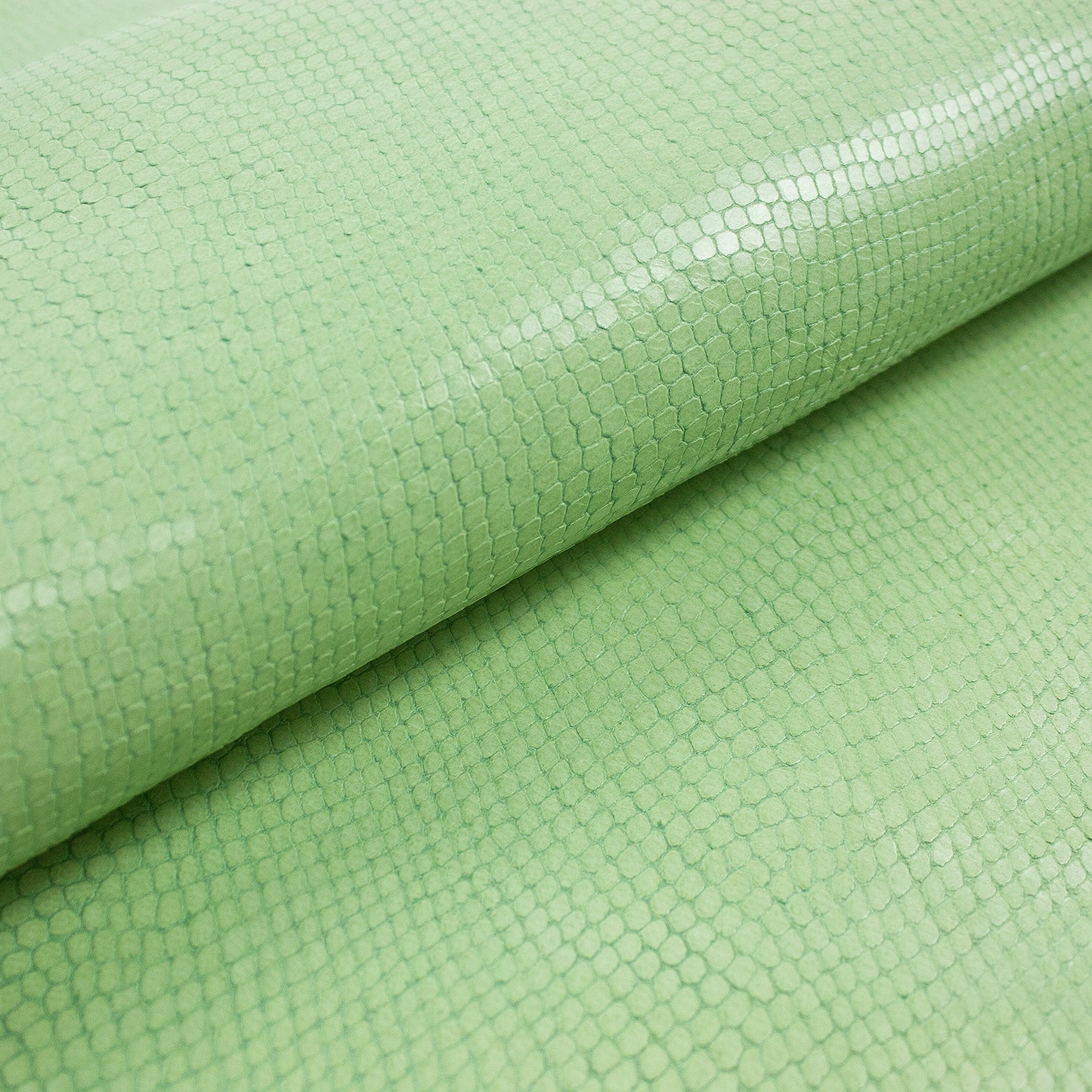 Trozo de piel fantasia serpiente verde