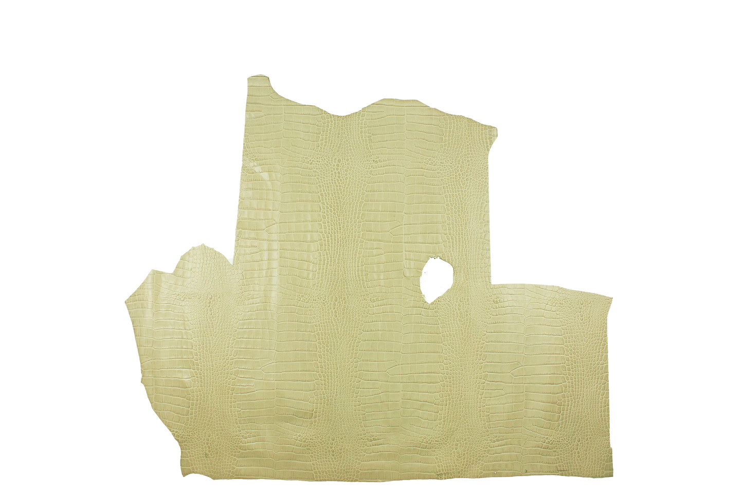 Piece of aged cream crocodile embossed leather