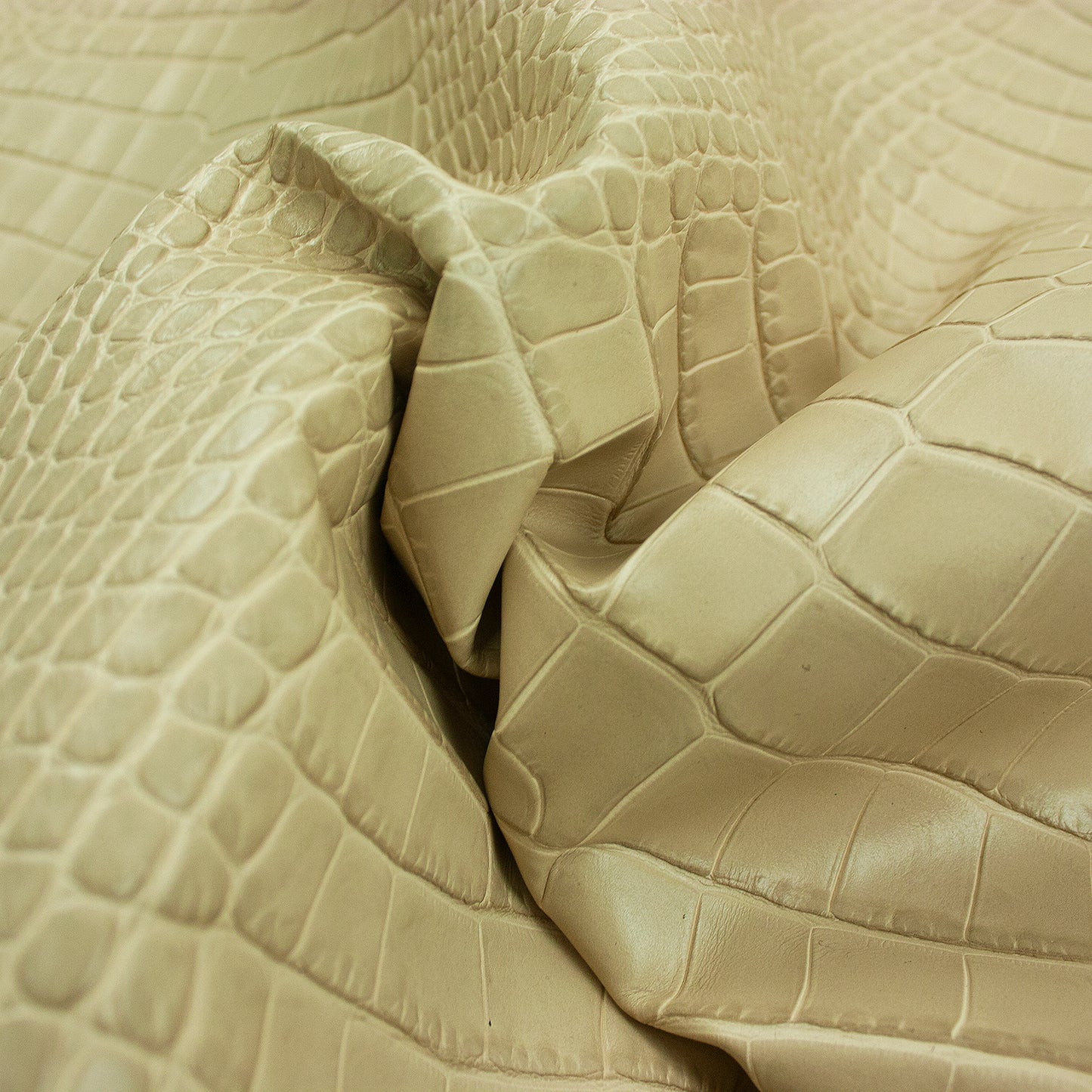 Piece of aged cream crocodile embossed leather