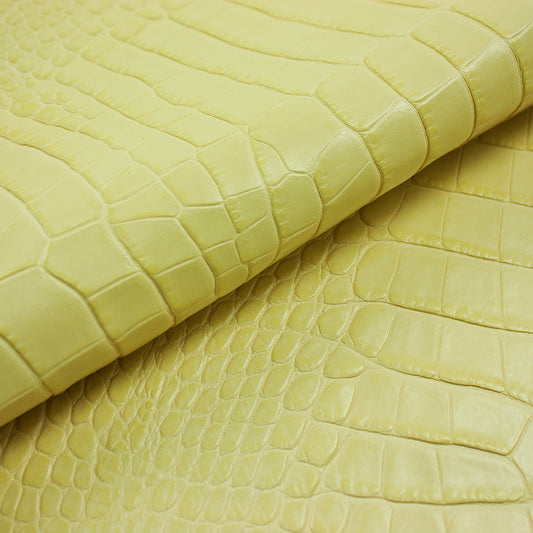 Piece of aged pale yellow crocodile embossed skin