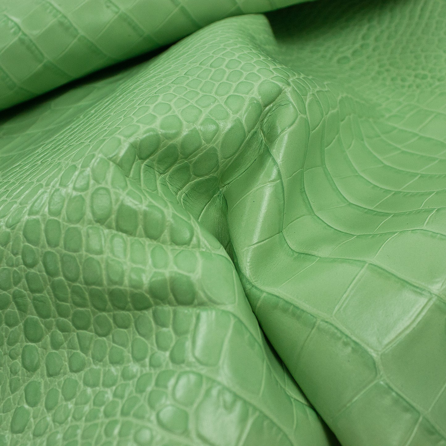 Pastel green crocodile embossed skin