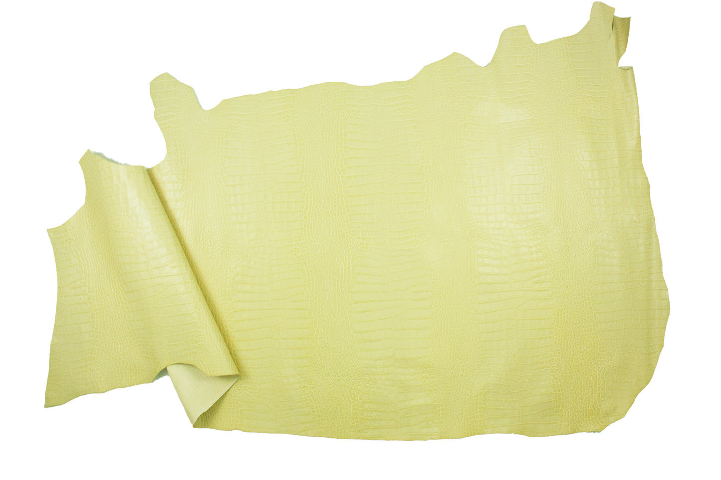 Pastel yellow crocodile embossed skin