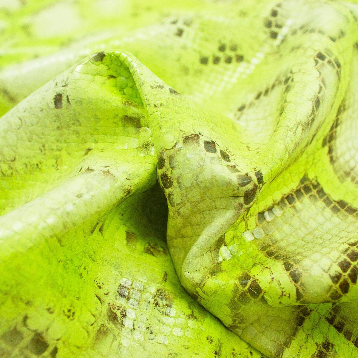 Green Python Snakeskin Fluor green python snake engraving skin – La Tendeta del Cuero