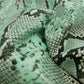 Blue python snake engraving skin - gray