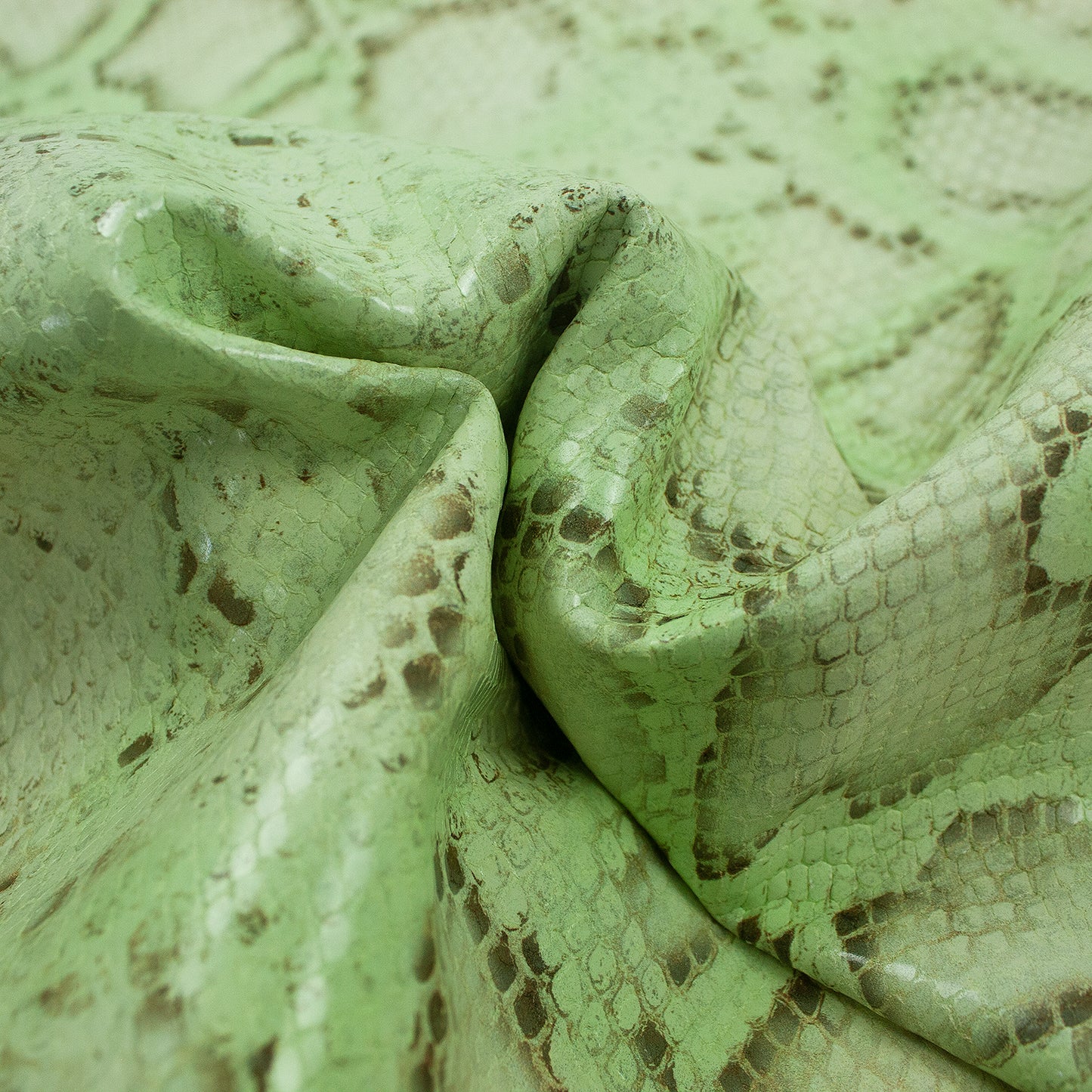 Piece of engraved pastel green python snake skin