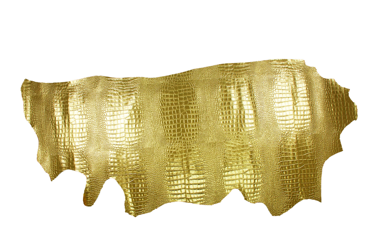 Piel de grabado cocodrilo laminado oro