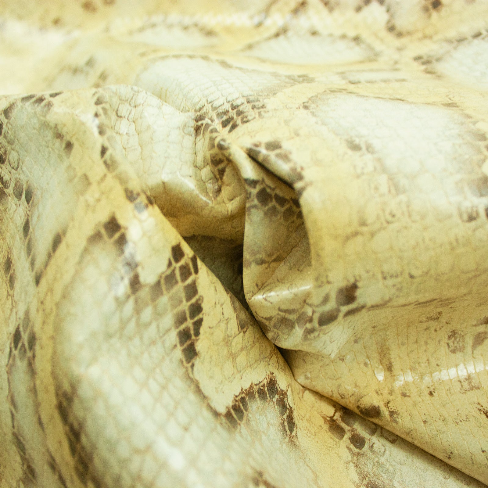 Light mustard yellow python snake print skin – La Tendeta del Cuero