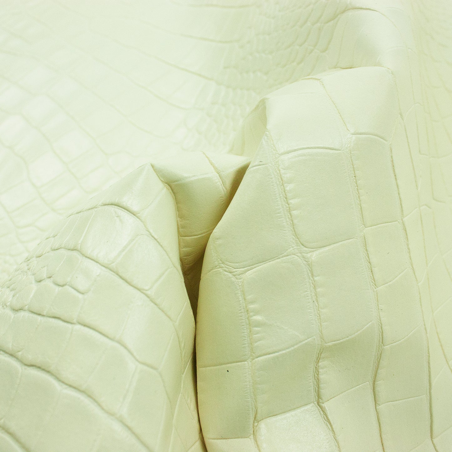 Piece of ivory white crocodile embossed leather