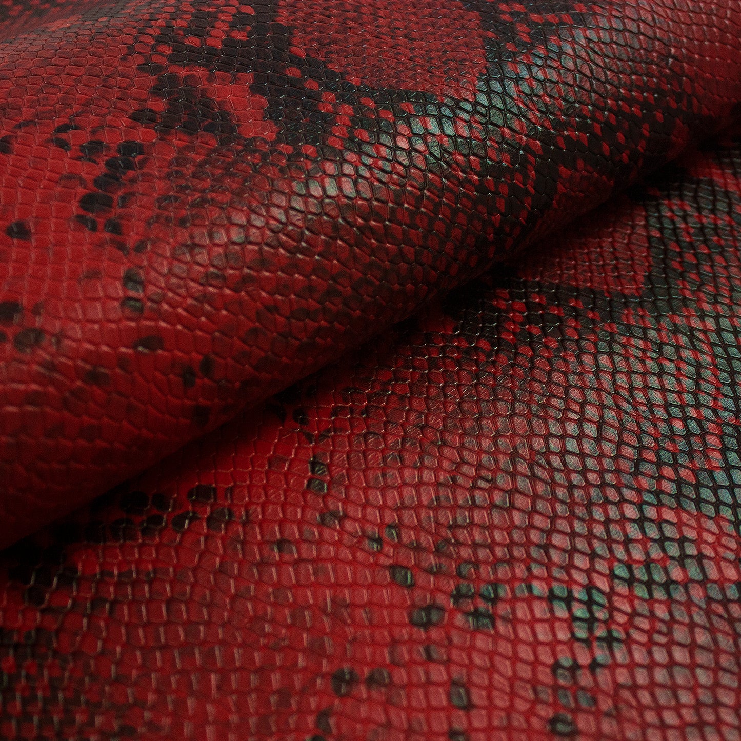 Piel de grabado serpiente piton rojo- negro