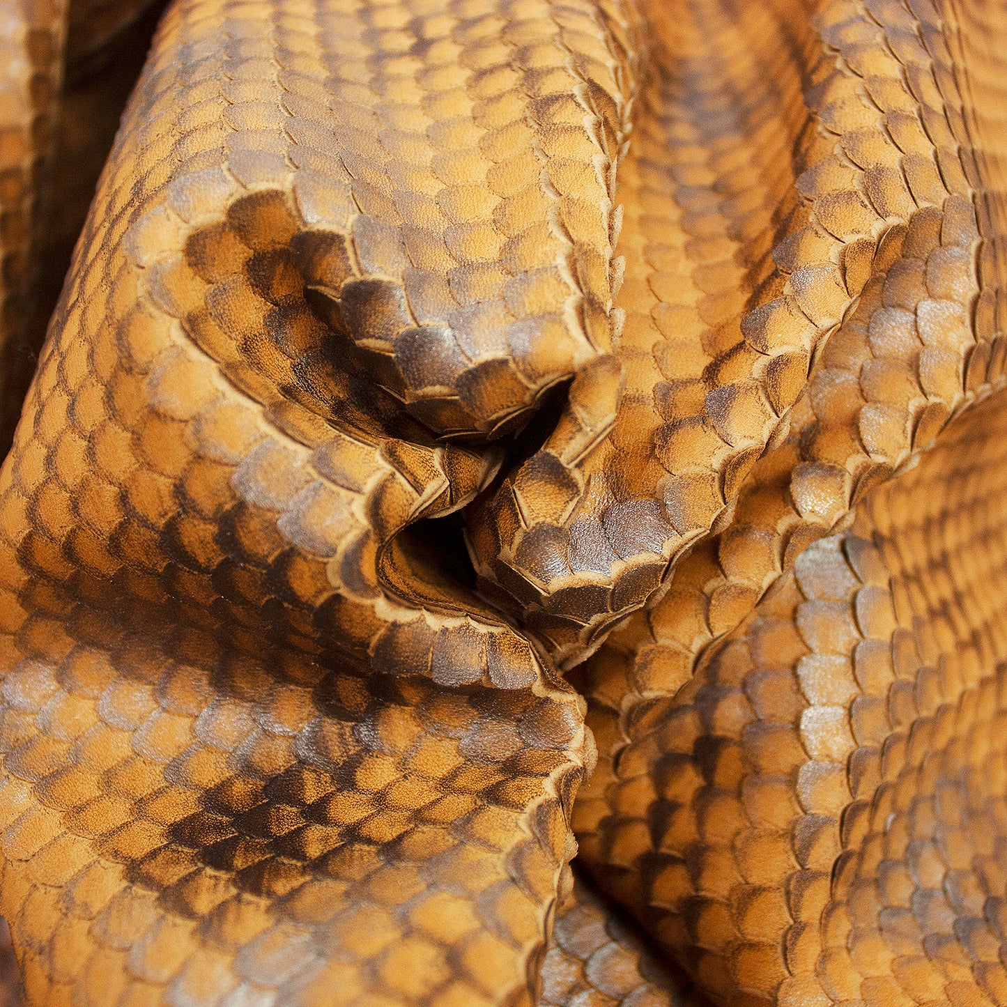 Piel de grabado serpiente escamas marron - plata