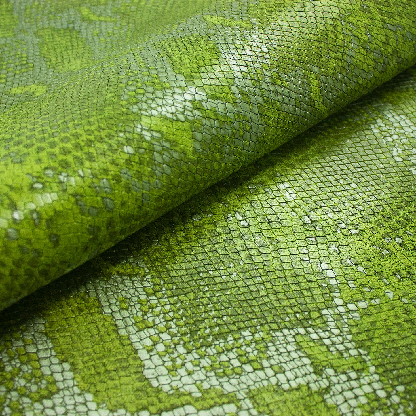 Trozo de piel grabado serpiente piton tonos verdes