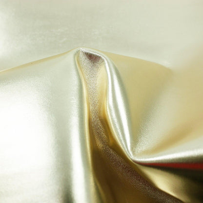 Trozo de piel cabra laminada champagne - La Tendeta del Cuero