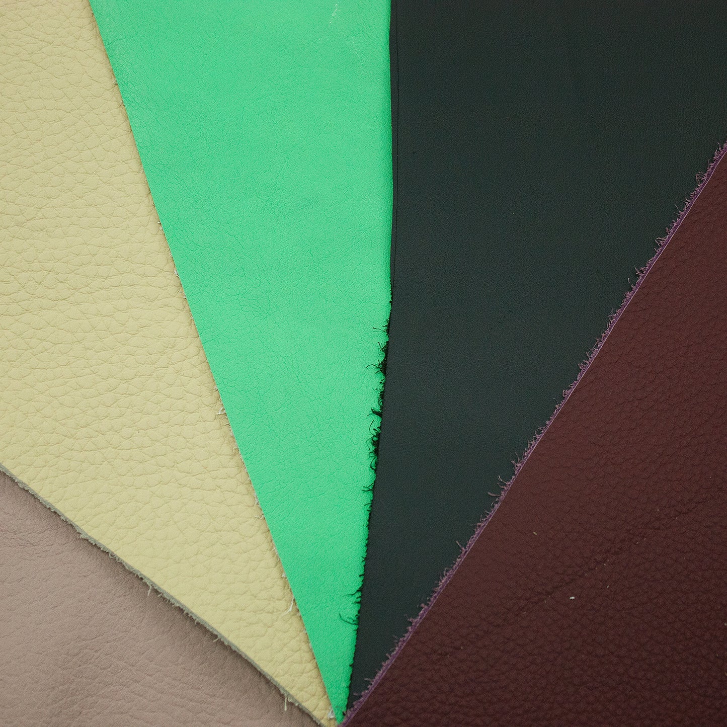 Lot 5 pieces of beef various colors