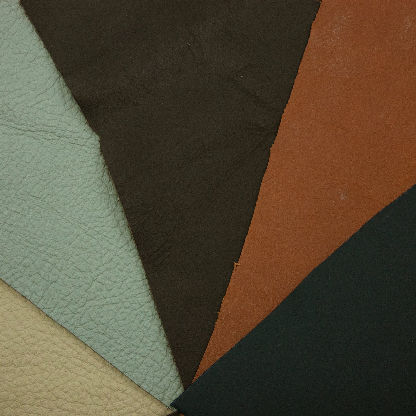 Lot 5 pieces of beef various colors