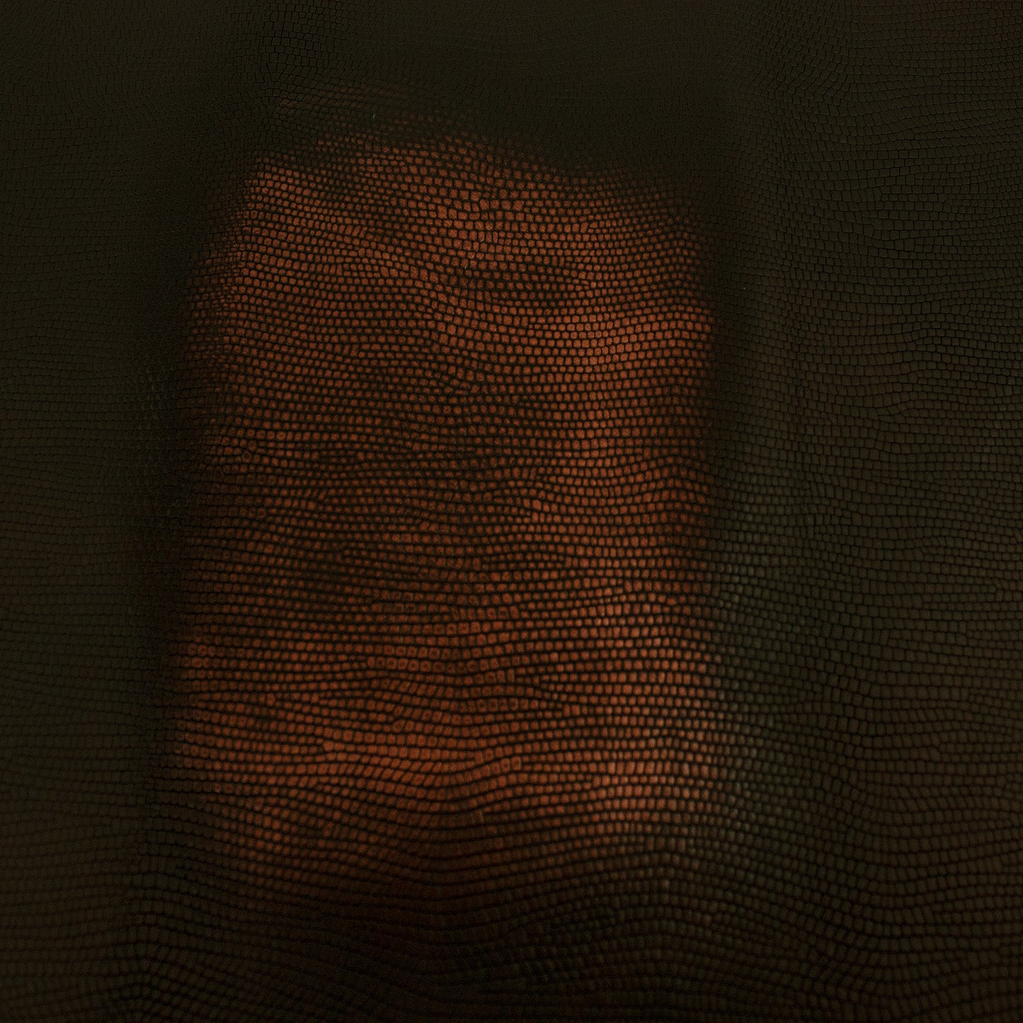 Trozo de piel grabado lagarto cobre autolucido