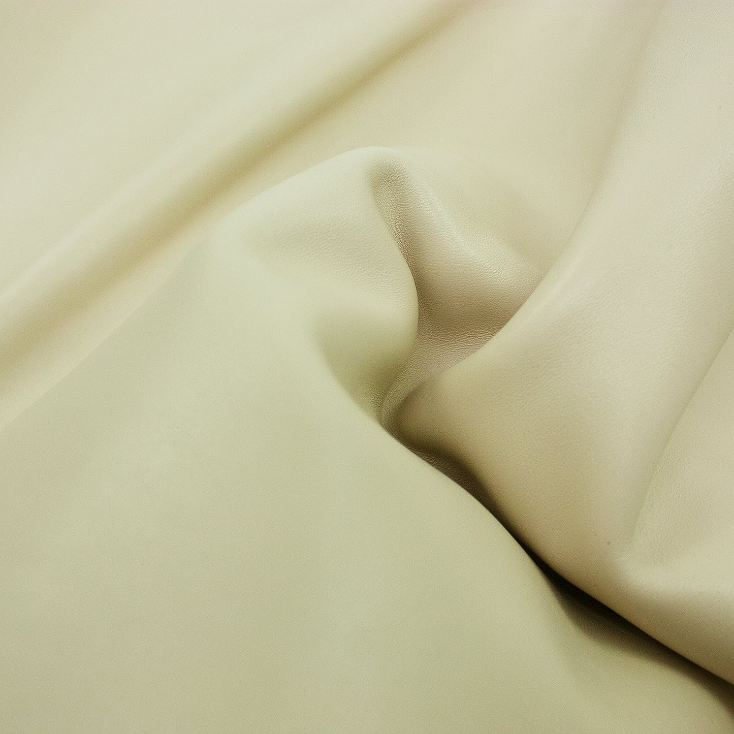 Piece of beige bovine leather