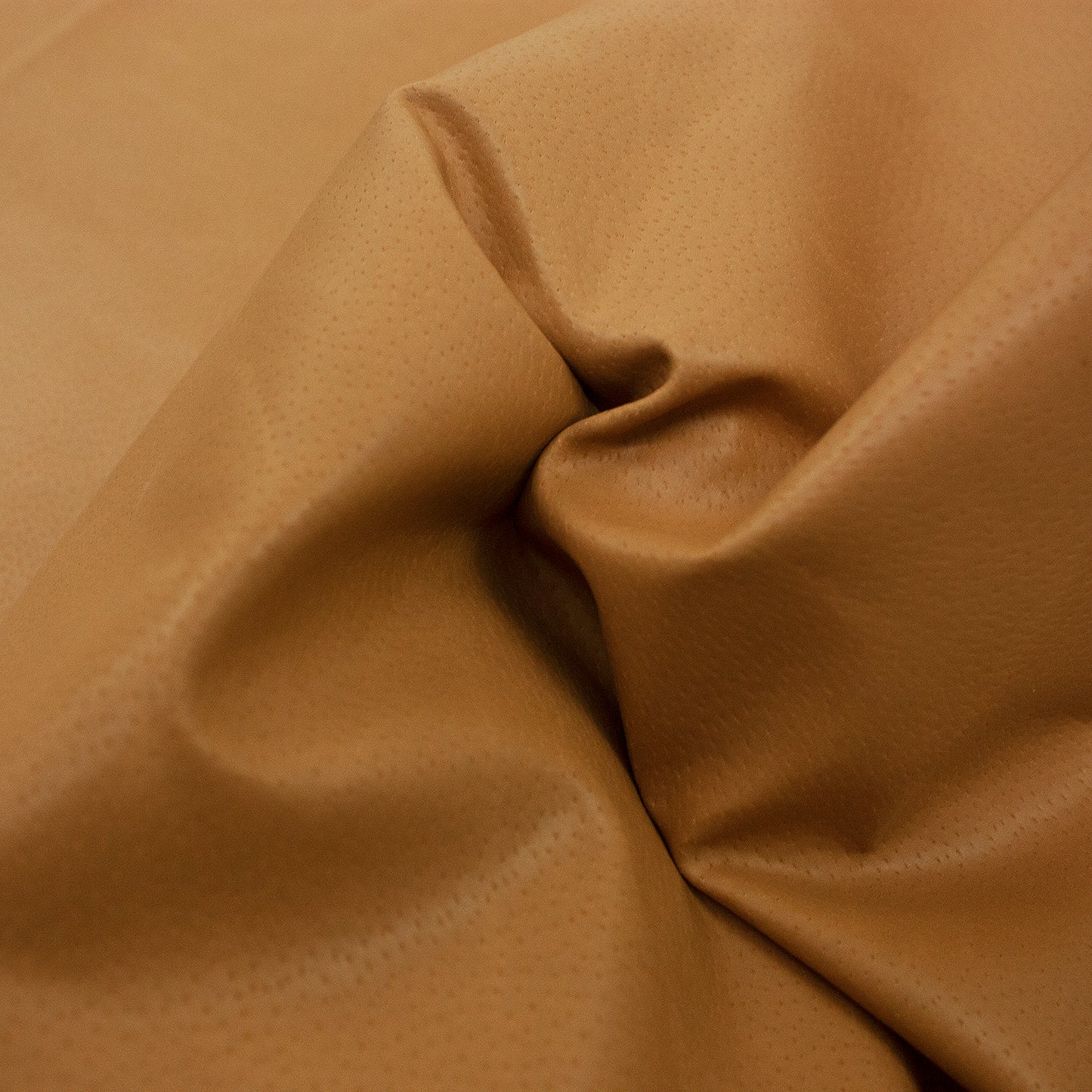 Piece of skin lining ironed pork meat