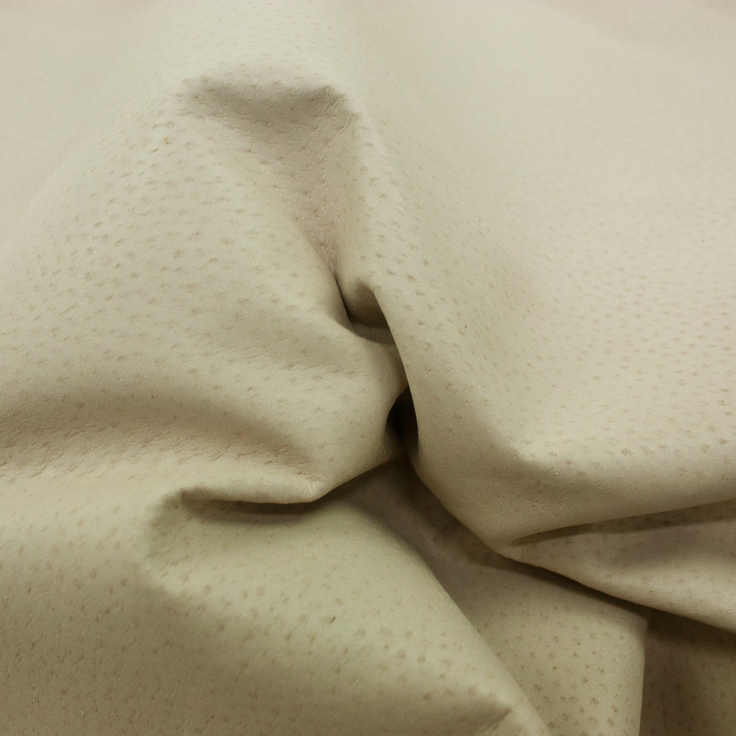 Trozo de piel forro cerdo planchado mariola