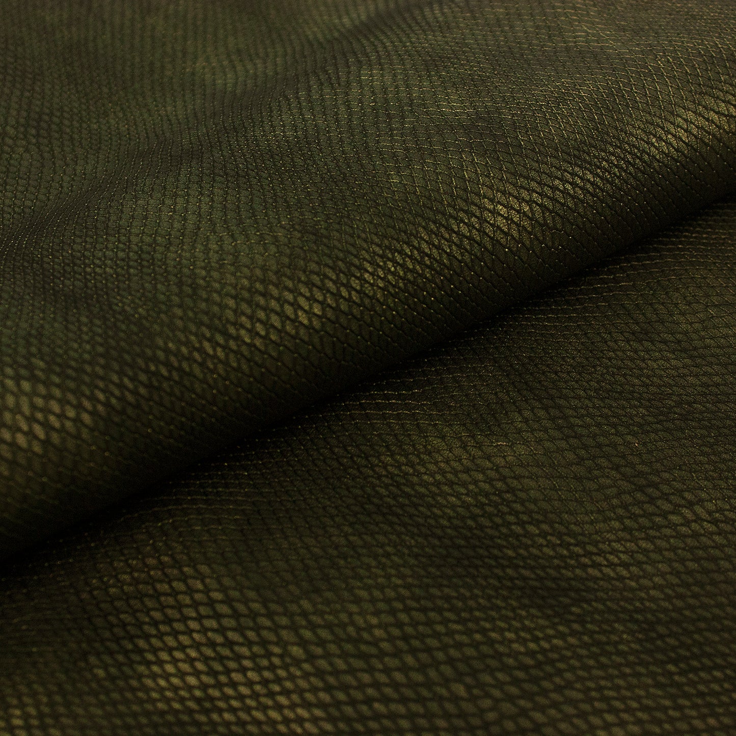 Piece of leather engraved with a metallic bronze snake