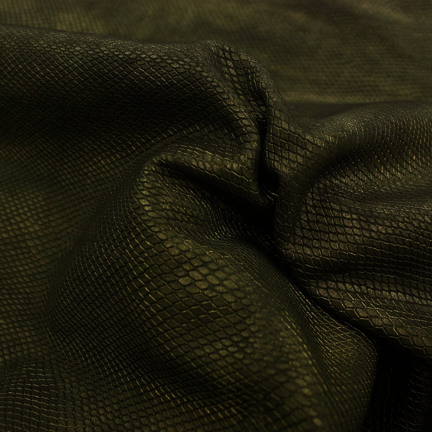 Piece of leather engraved with a metallic bronze snake