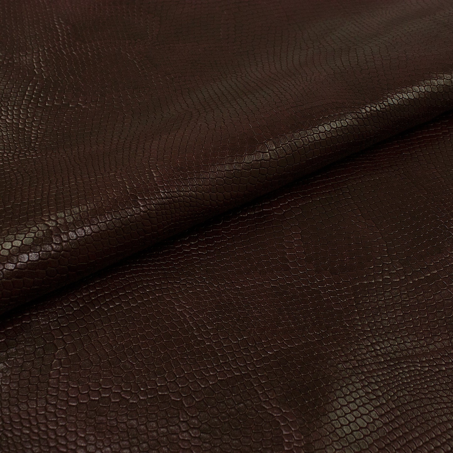 Piece of skin engraved with a Rioja python snake