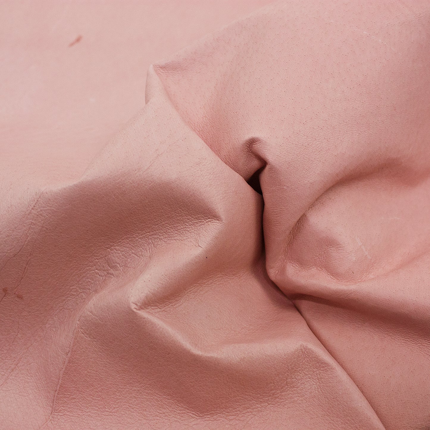 Trozo de piel forro cerdo flor rosa