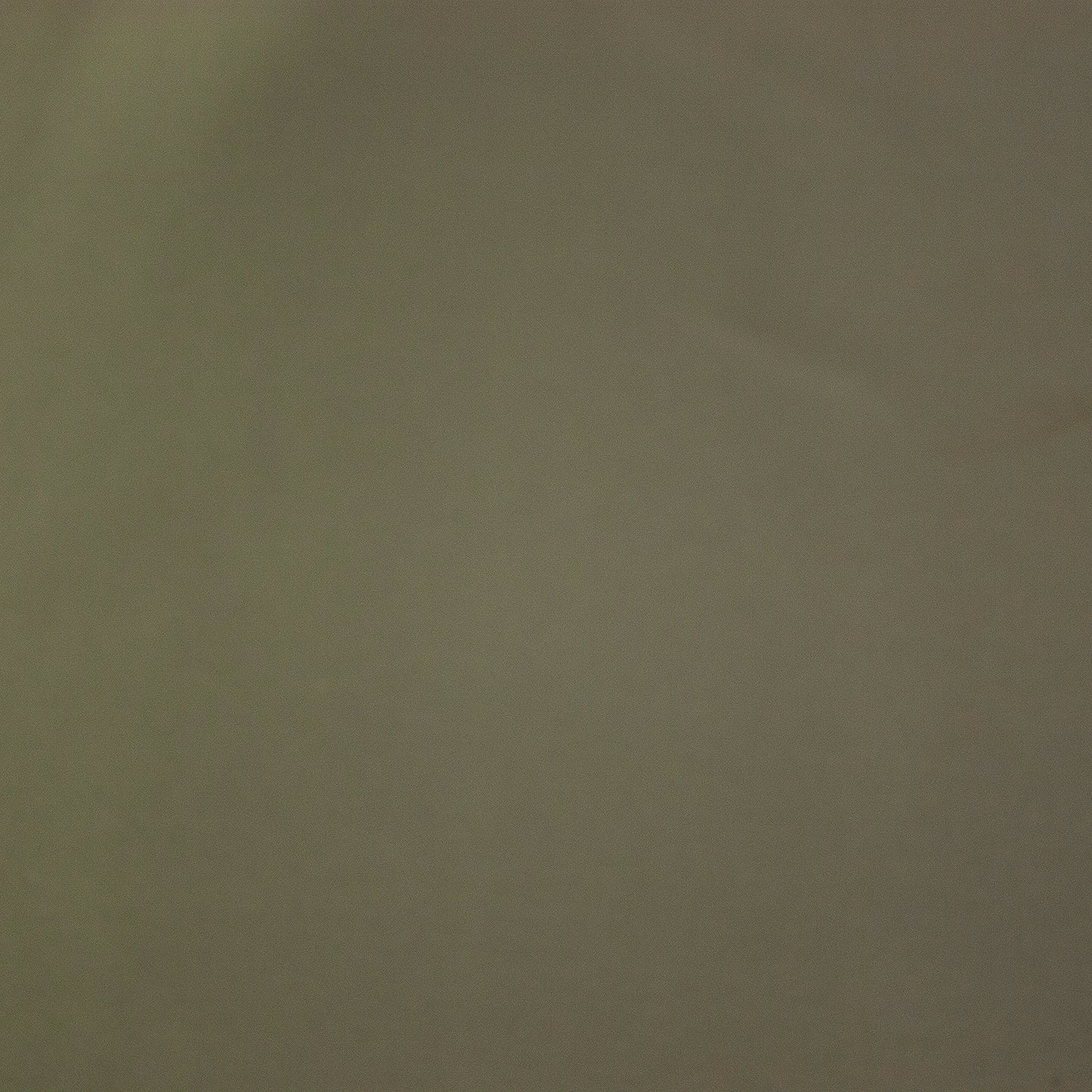 Tejido raso plata vieja - reves felpa verde