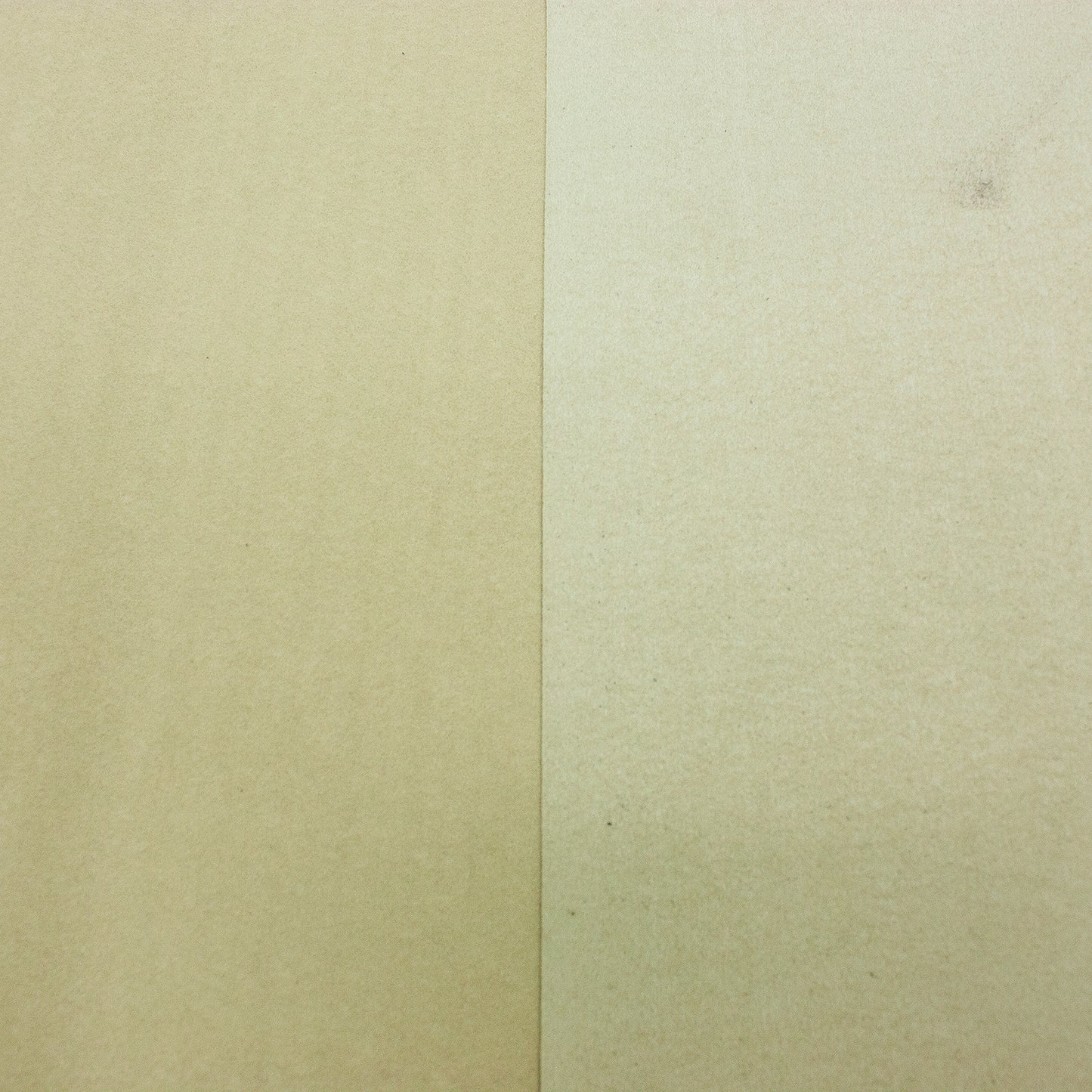 Trozo de sintetico forro microfibra beige