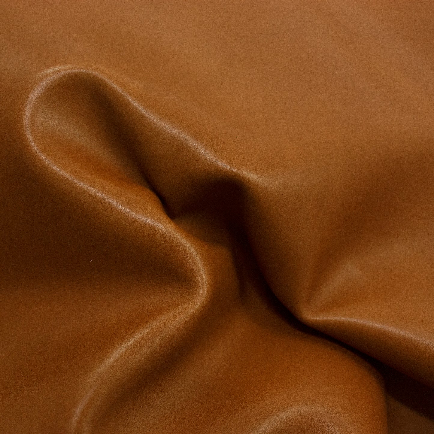 Piel de becerro cuero