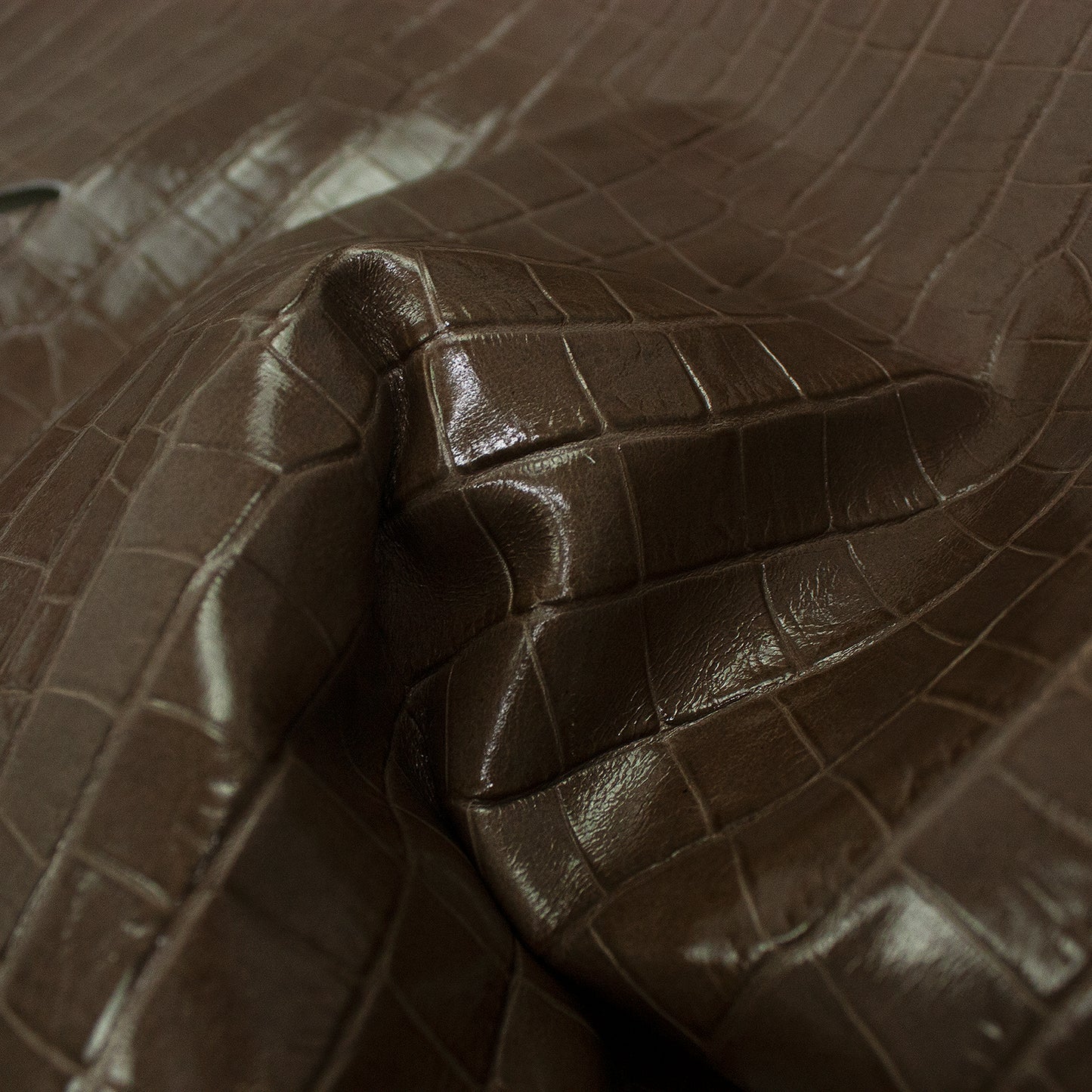 Trozo de piel grabado coco grande ostra