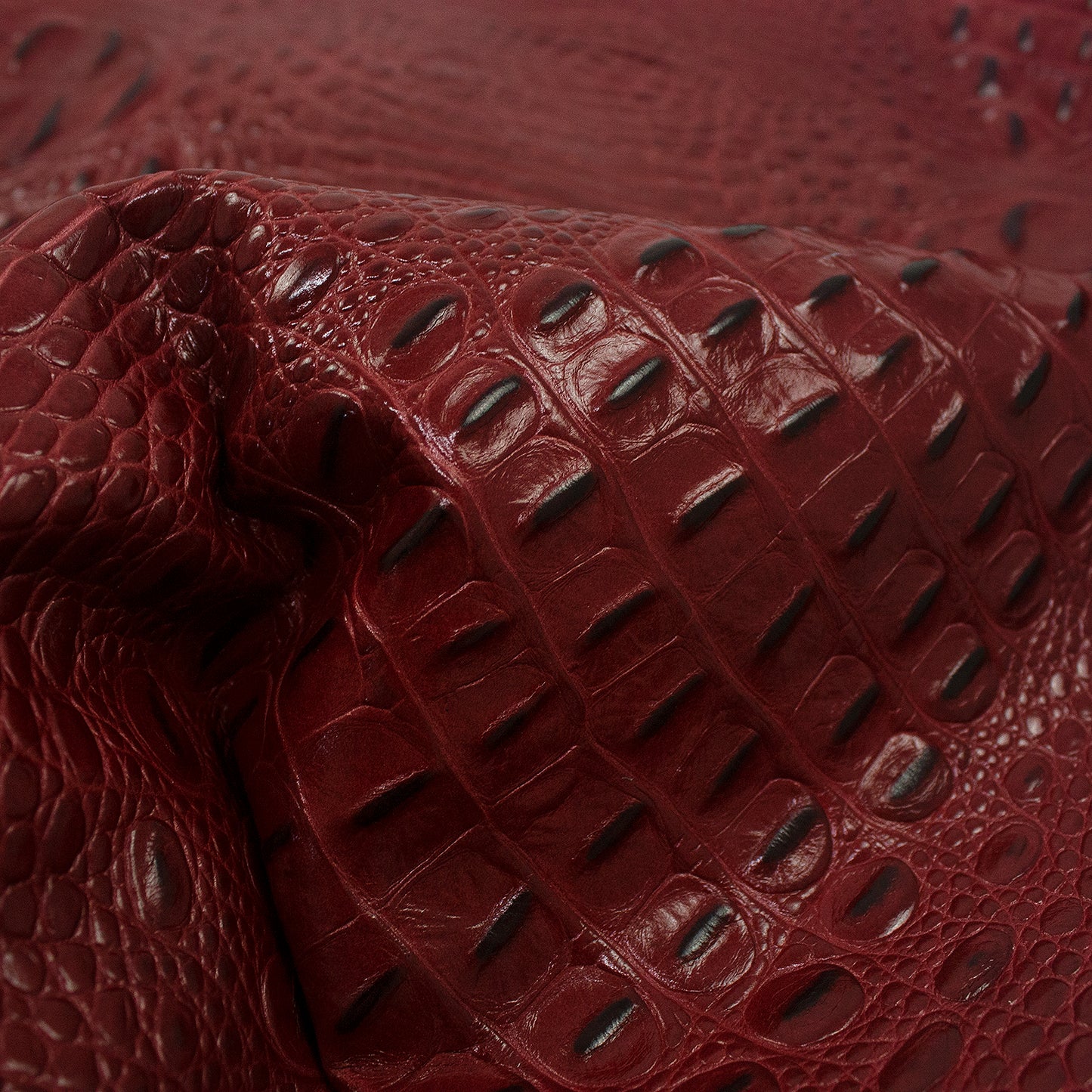 Trozo de piel grabado escama de cocodrilo tomato