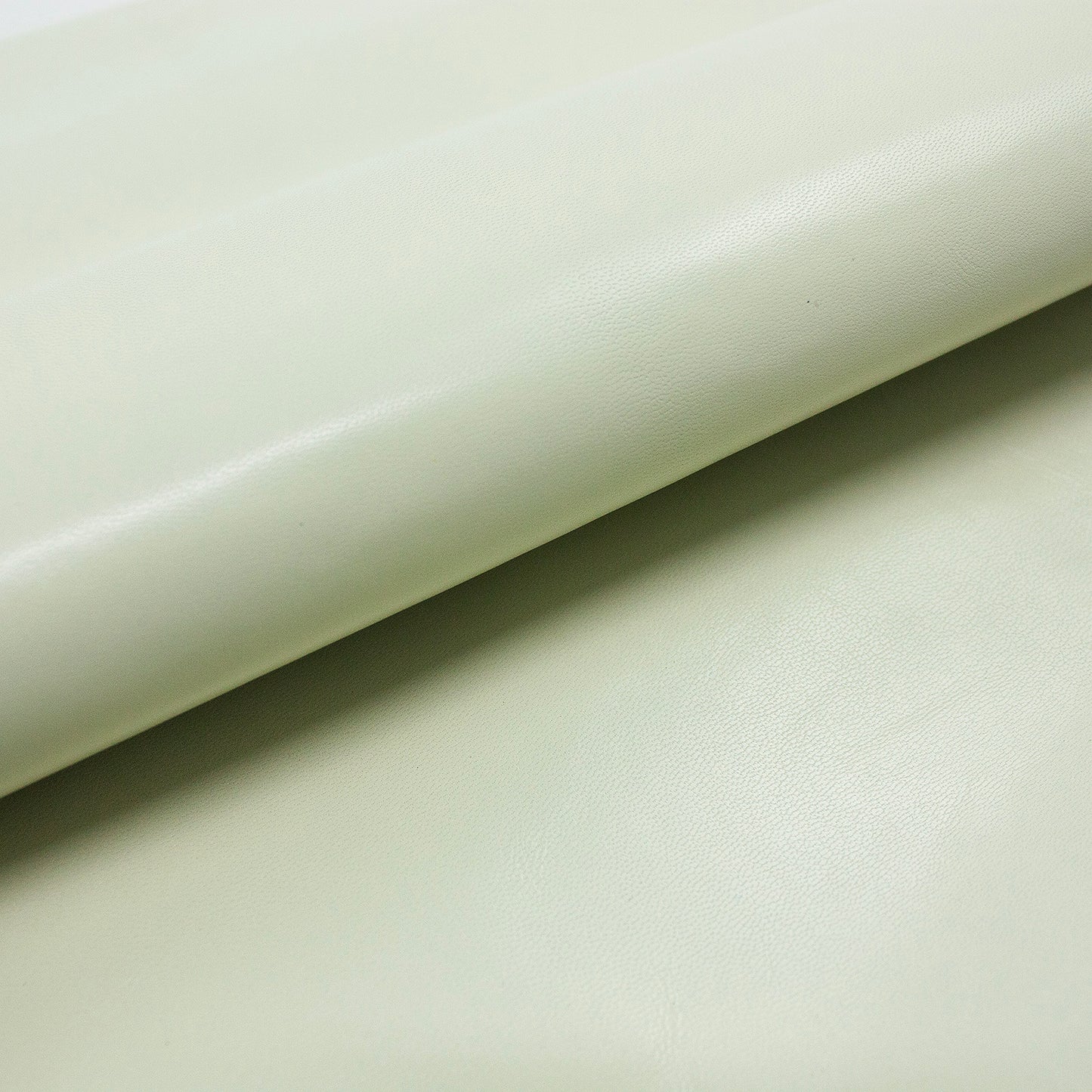 Trozo de piel cabra marfil