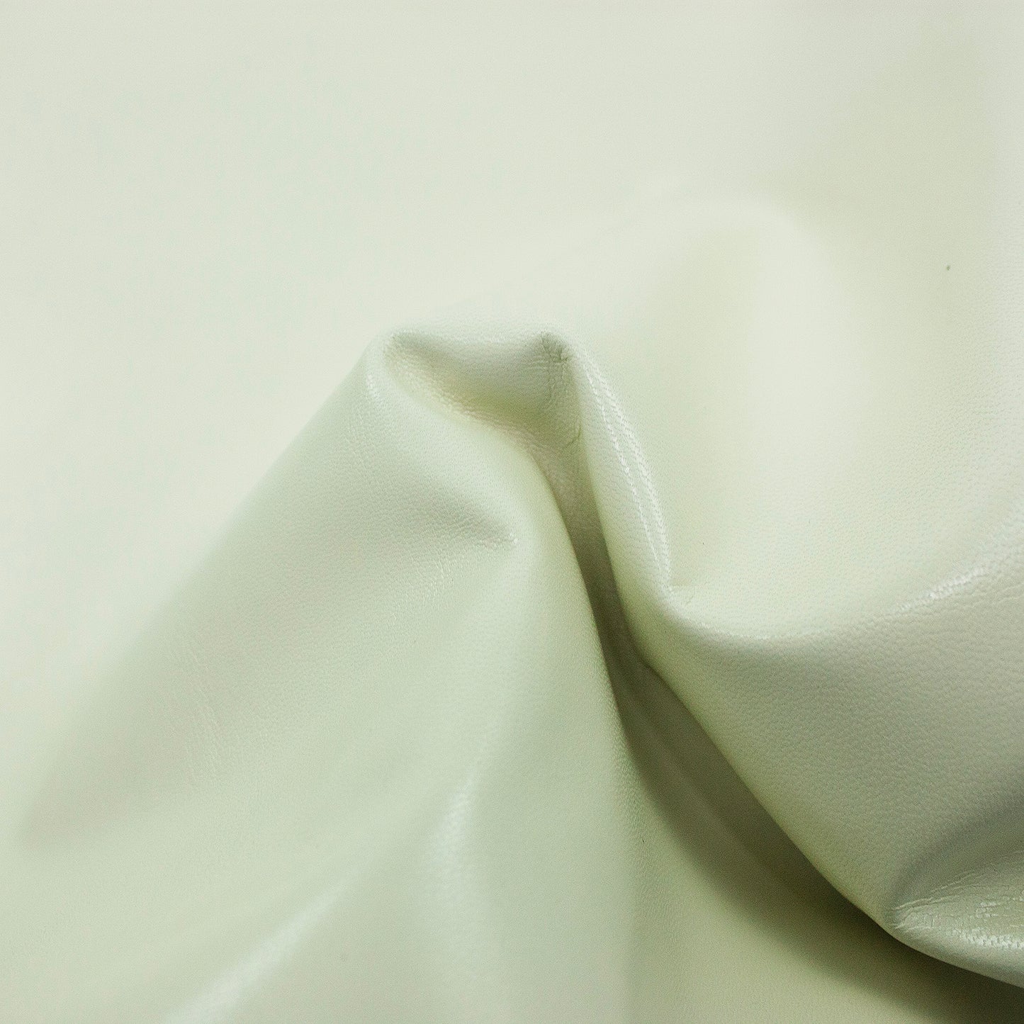 Trozo de piel cabra marfil