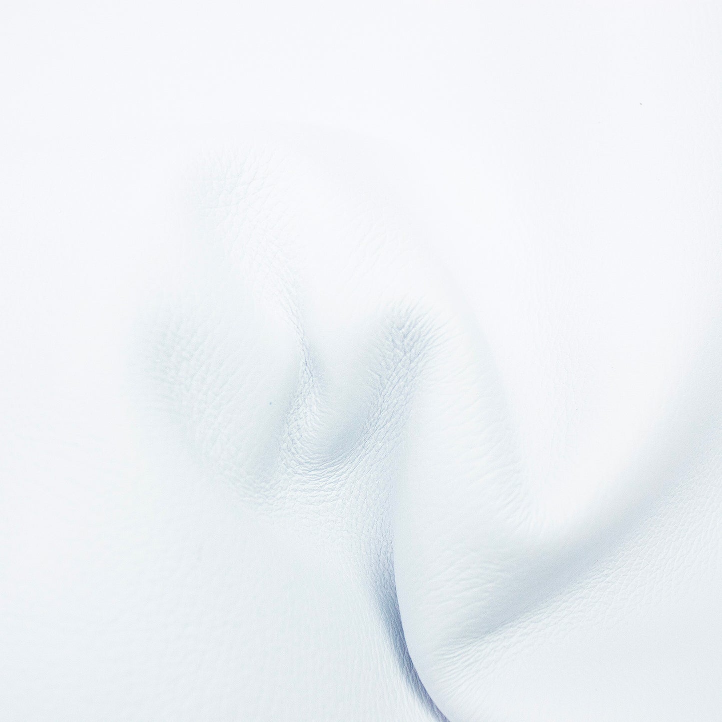 Piel de vacuno bombeado blanco