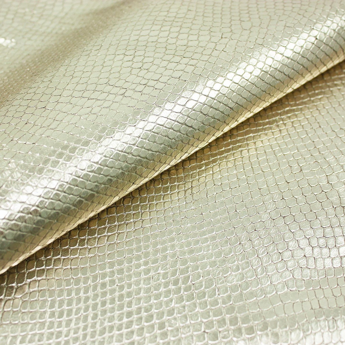 Trozo de piel grabado serpiente oro