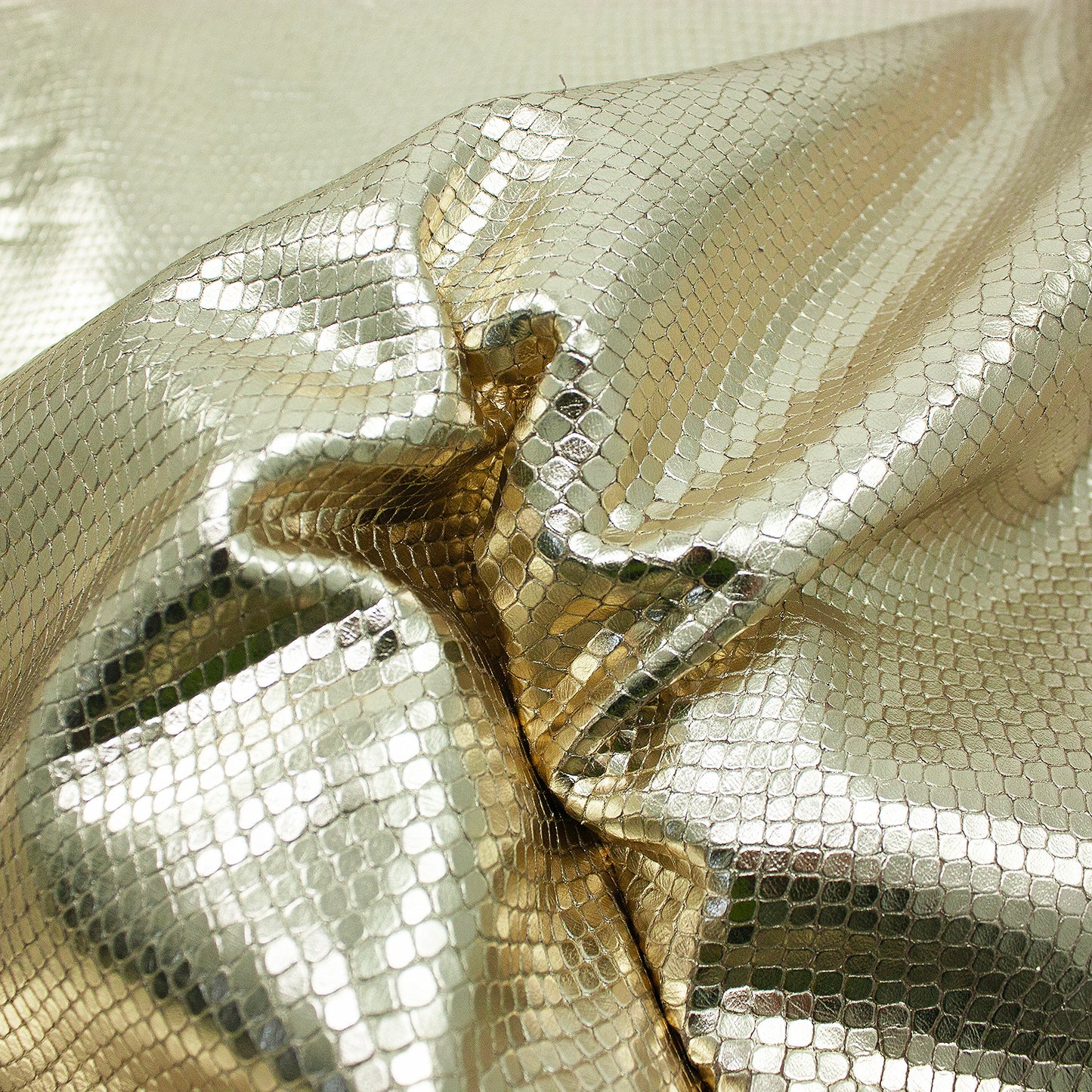 Trozo de piel grabado serpiente oro