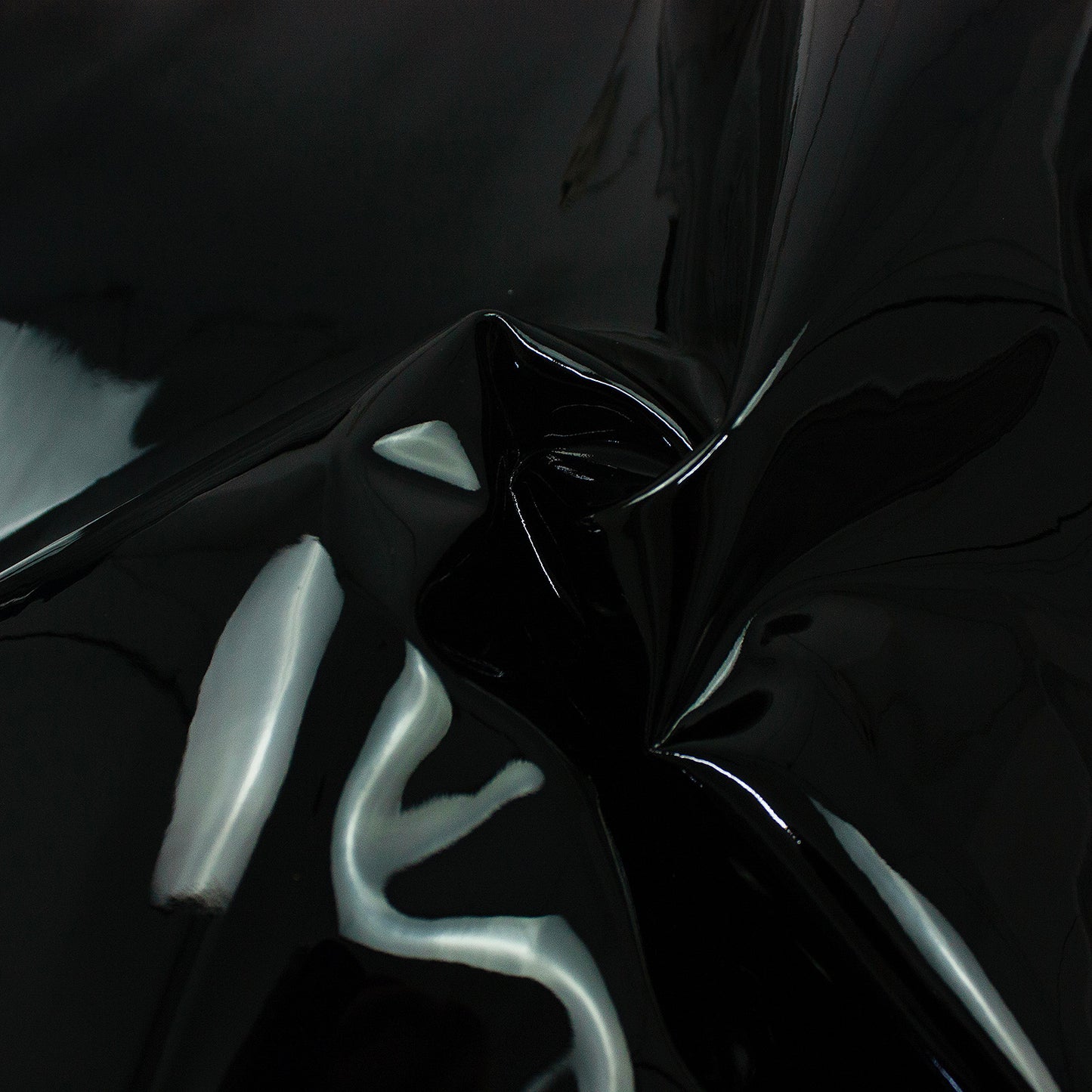 Piel de charol negro