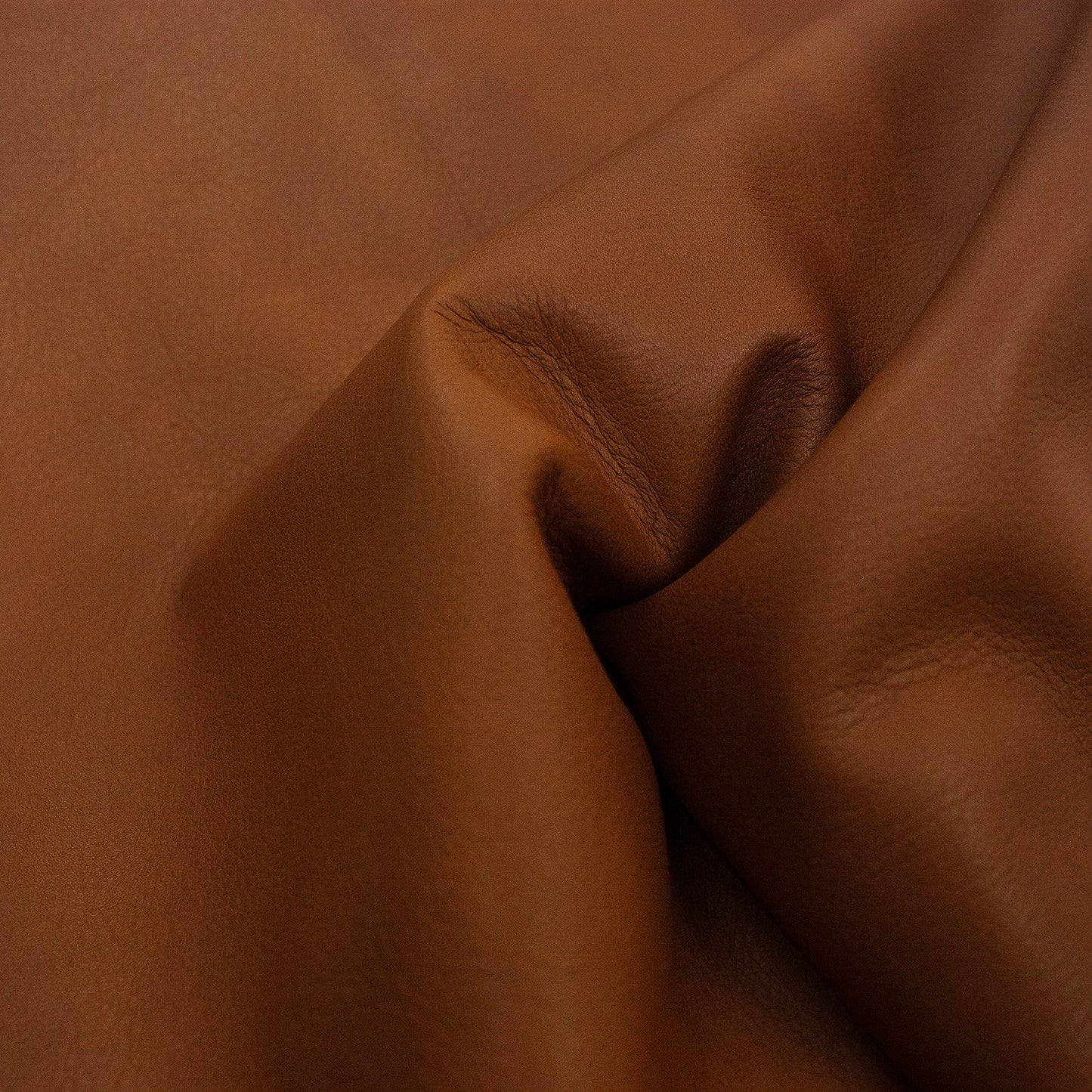 Trozo de piel vacuno bombeado cuero desgastado