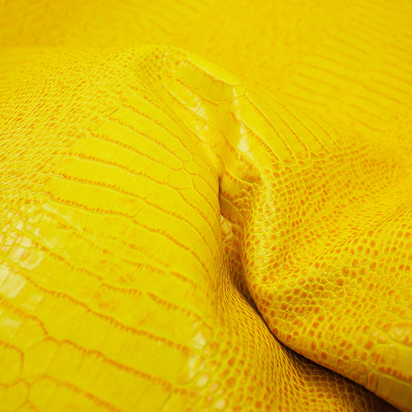 Trozo de piel grabado cocodrilo amarillo tonos naranjas