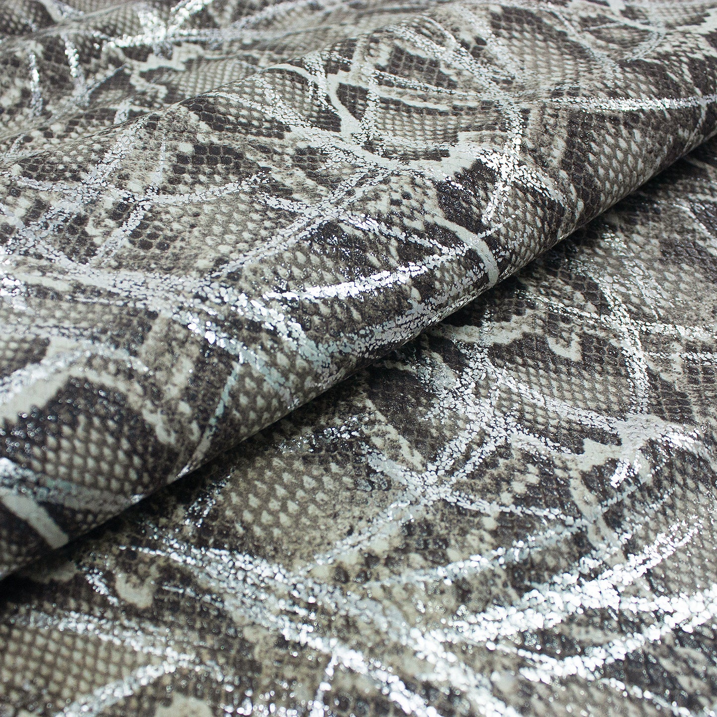 Piel de grabado serpiente moet brush silver