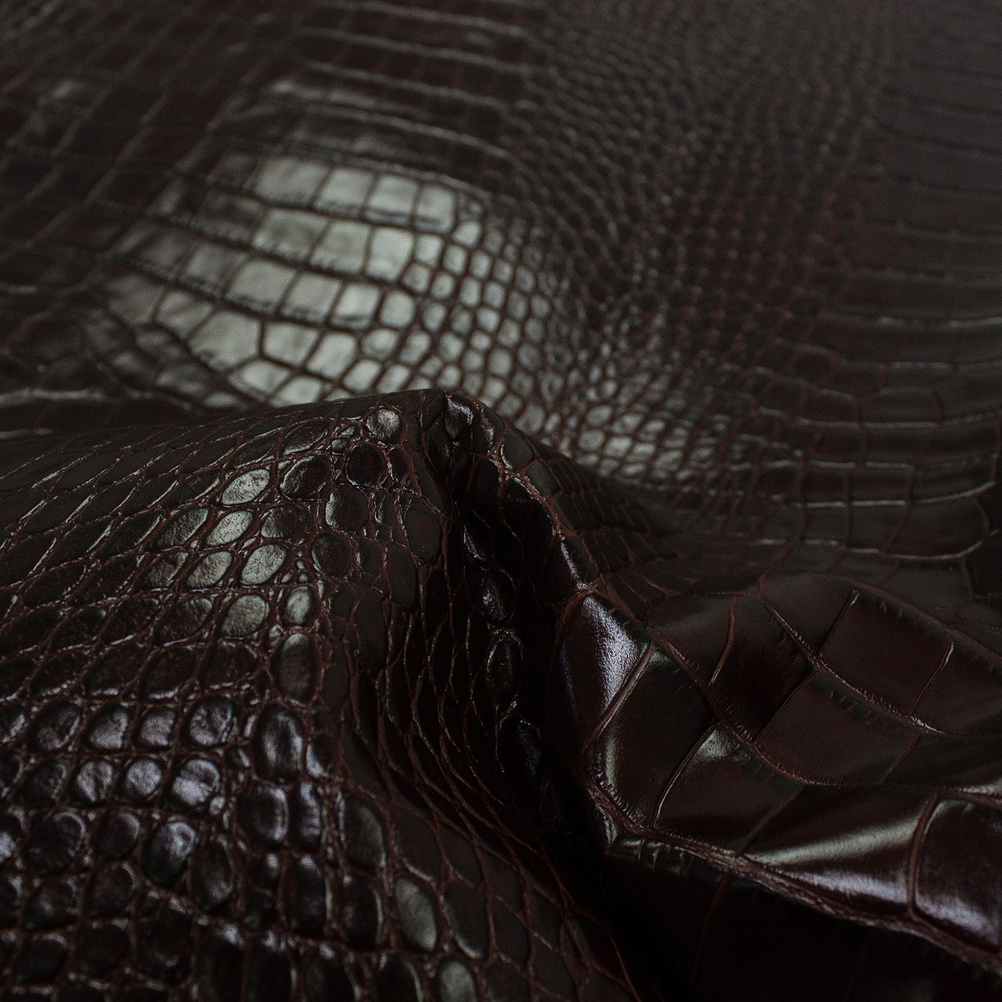 Trozo de piel grabado cocodrilo vino