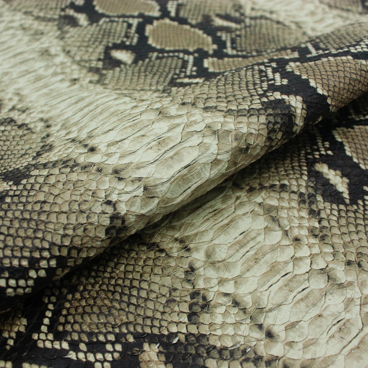 Trozo de piel grabado serpiente escama natural gris