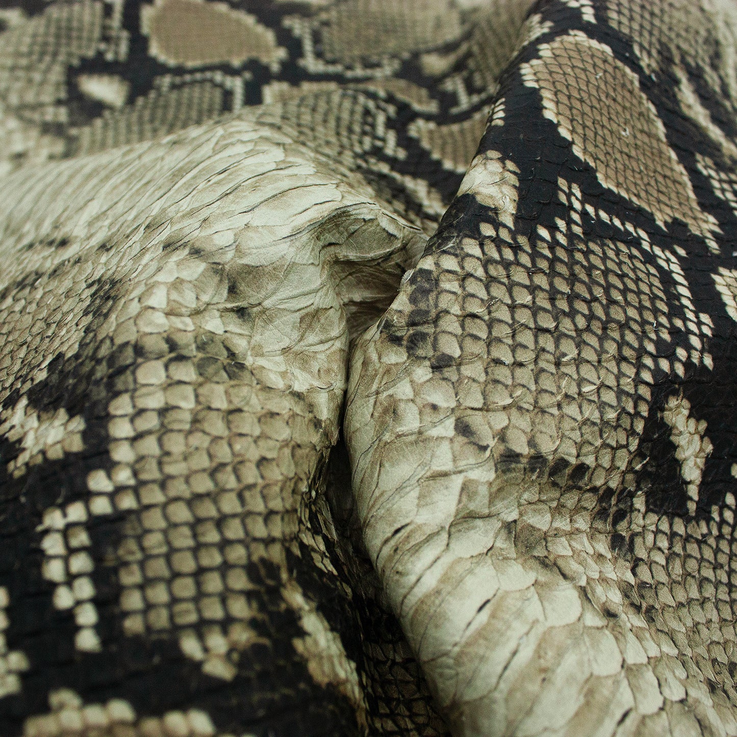 Trozo de piel grabado serpiente escama natural gris