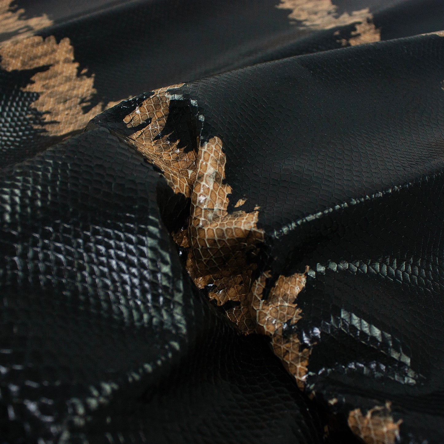 Trozo de piel grabado serpiente negra franja marron