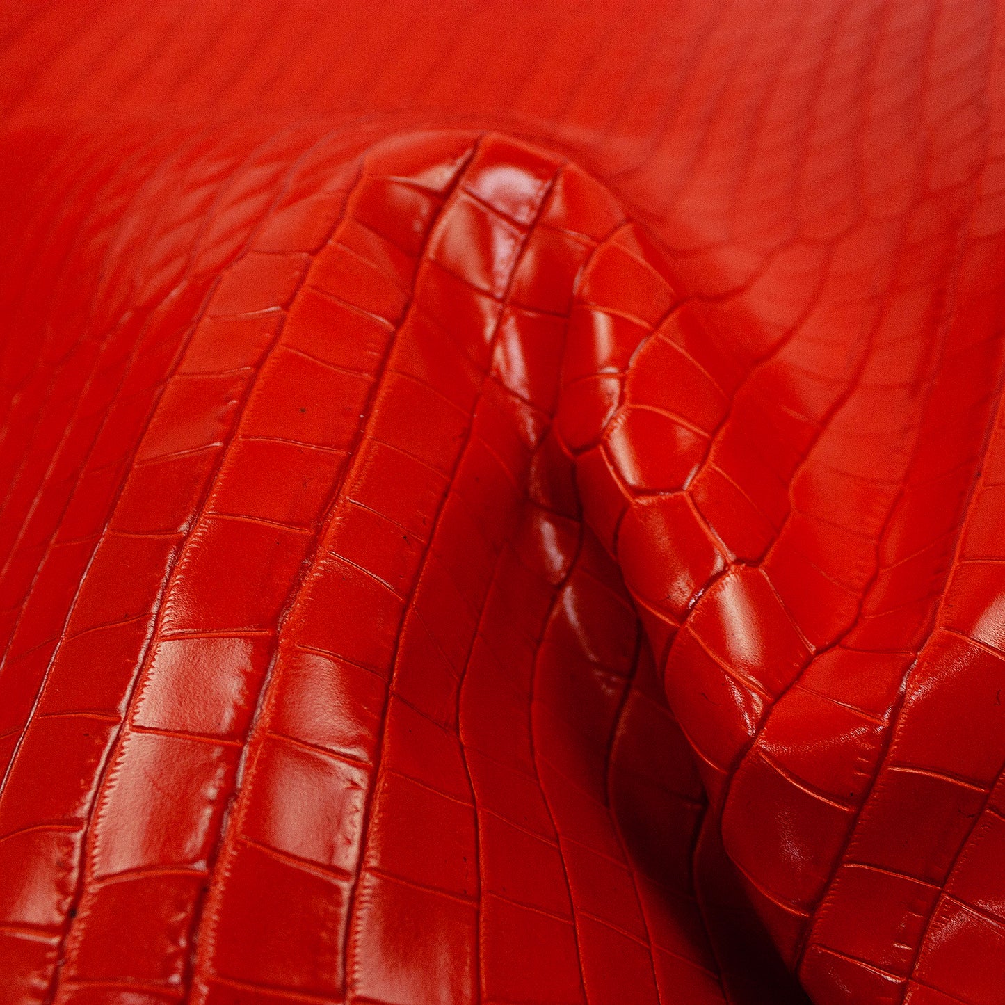 Piel de grabado coco naranja