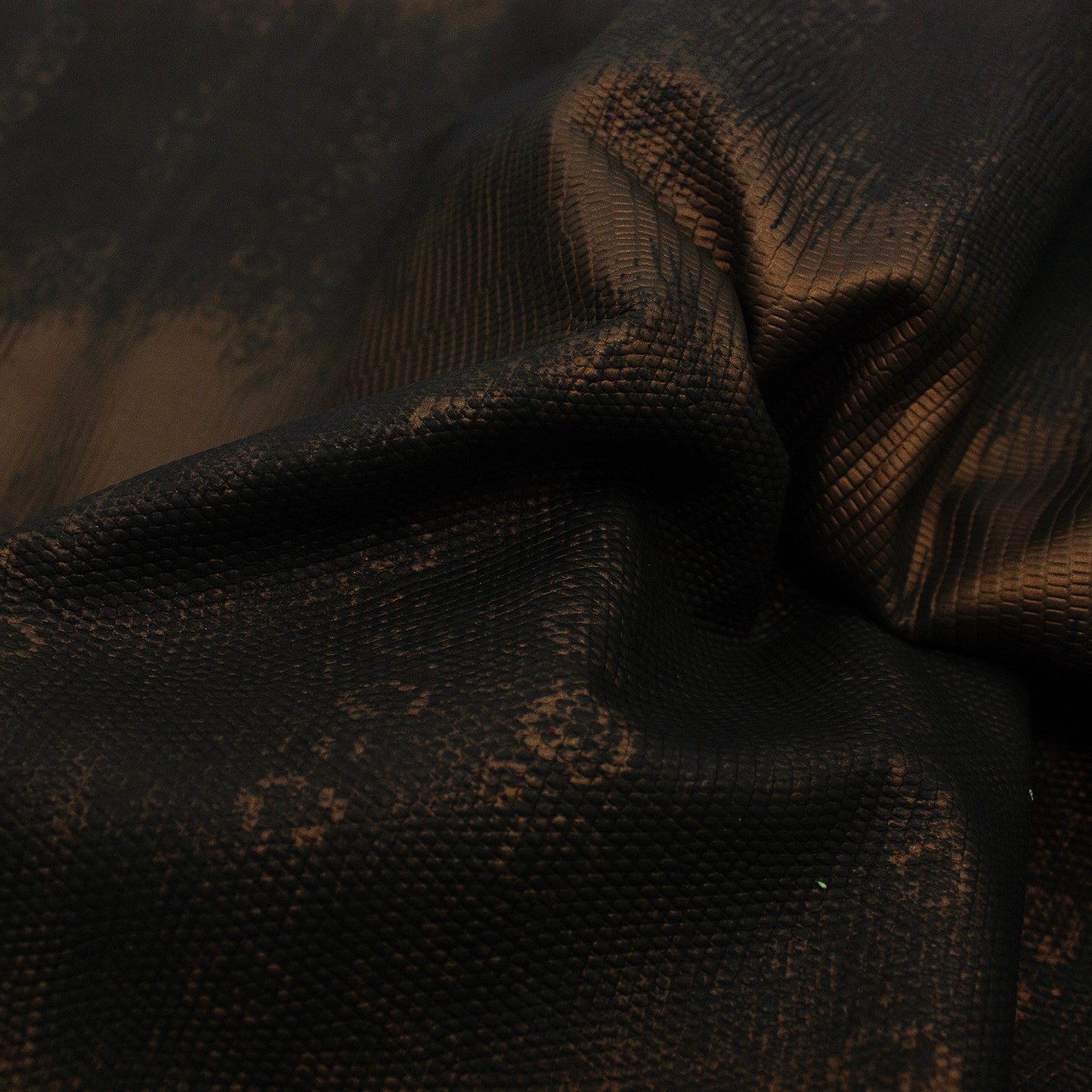 Trozo de piel grabado tejus bronce