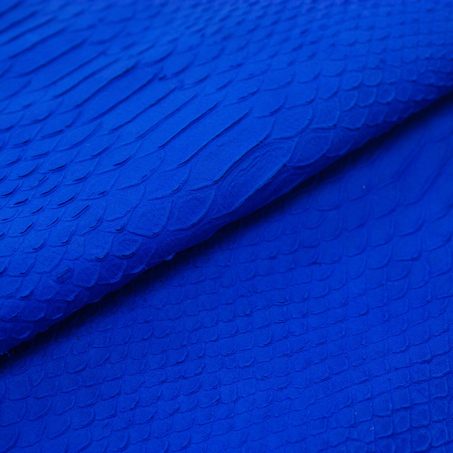 Trozo de piel grabado serpiente escama natural azul electrico