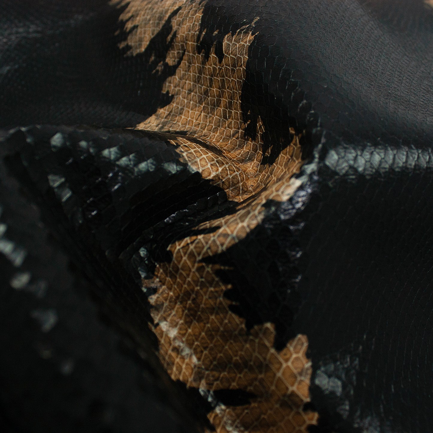 Trozo de piel grabado serpiente negra franja marron