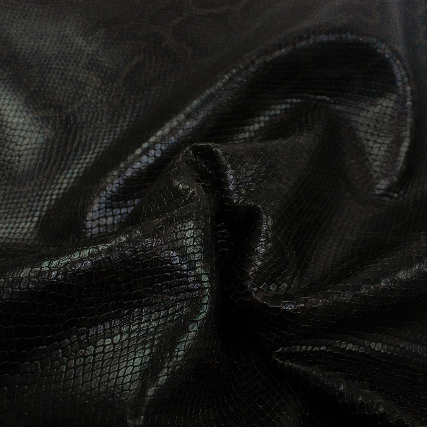 Trozo de piel grabado serpiente chocolate