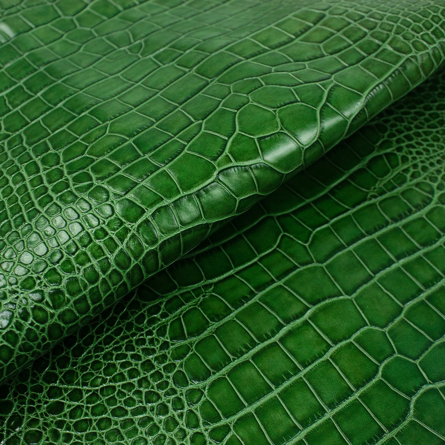 Trozo de piel grabado cocodrilo verde envejecido